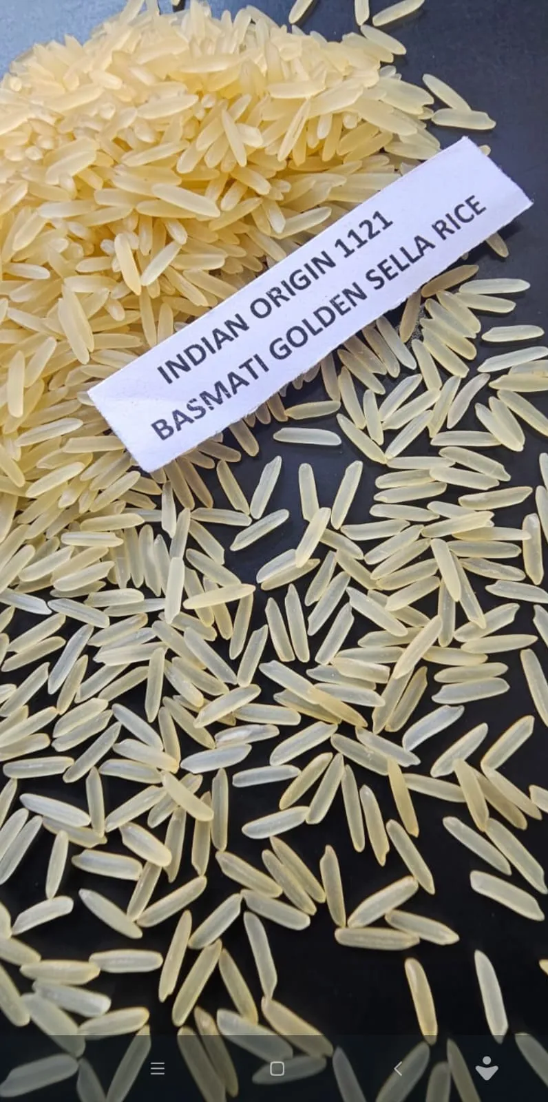 1121 Basmati Rice thumbnail 3