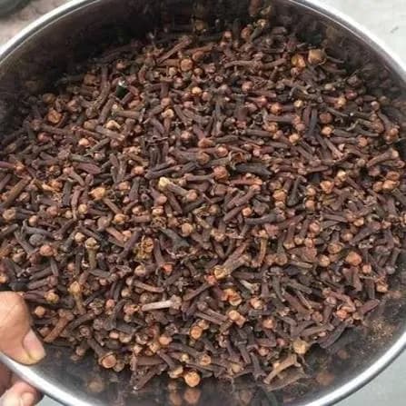 Clove