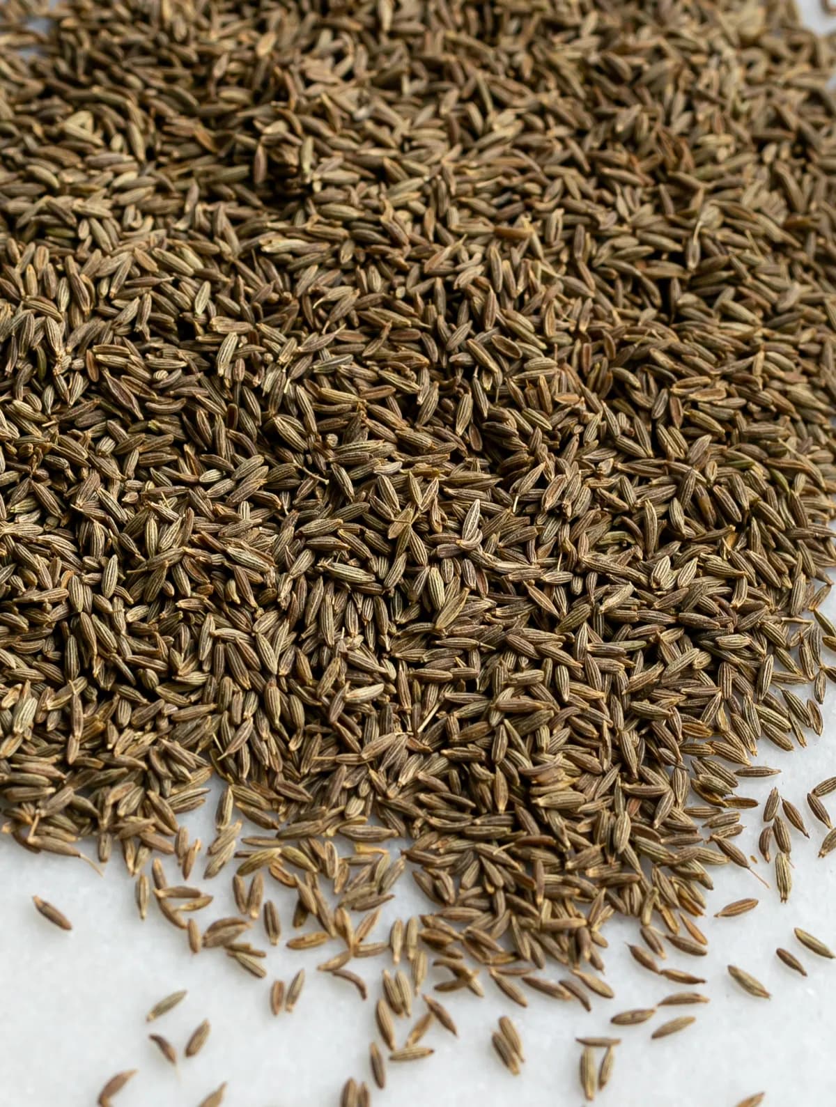 Cumin thumbnail 4
