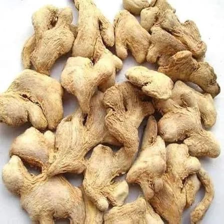 Dry Ginger thumbnail 2