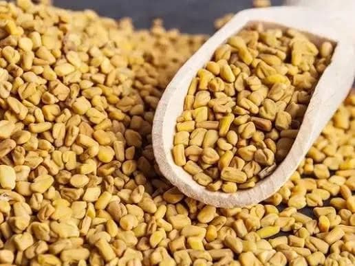 Fenugreek thumbnail 3
