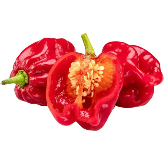 Habanero Chilli thumbnail 3