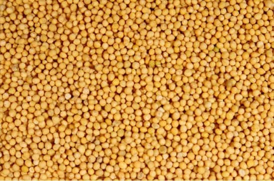 Mustard (Sarso) thumbnail 2