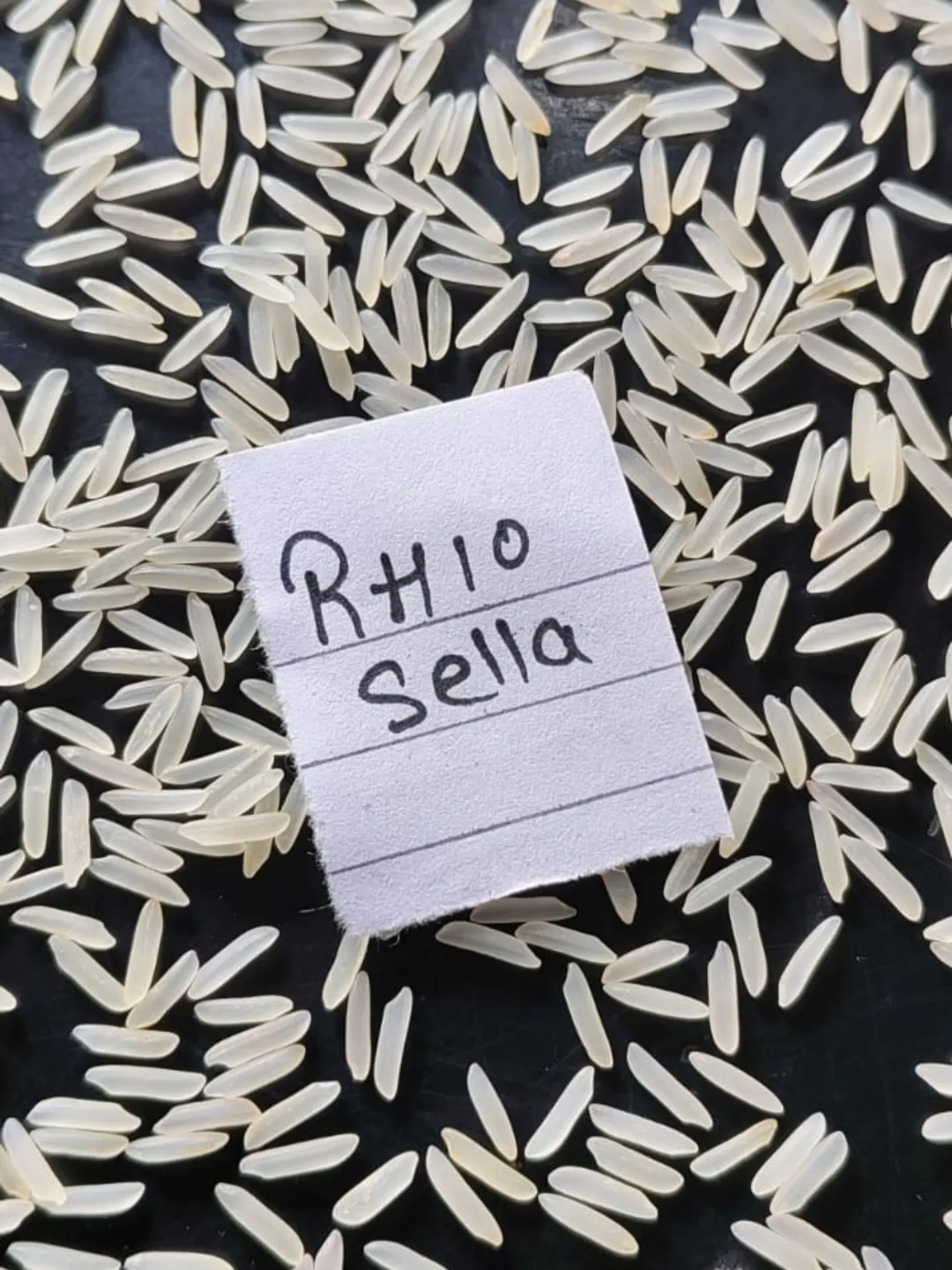 RH-10 Golden Sella Rice thumbnail 2