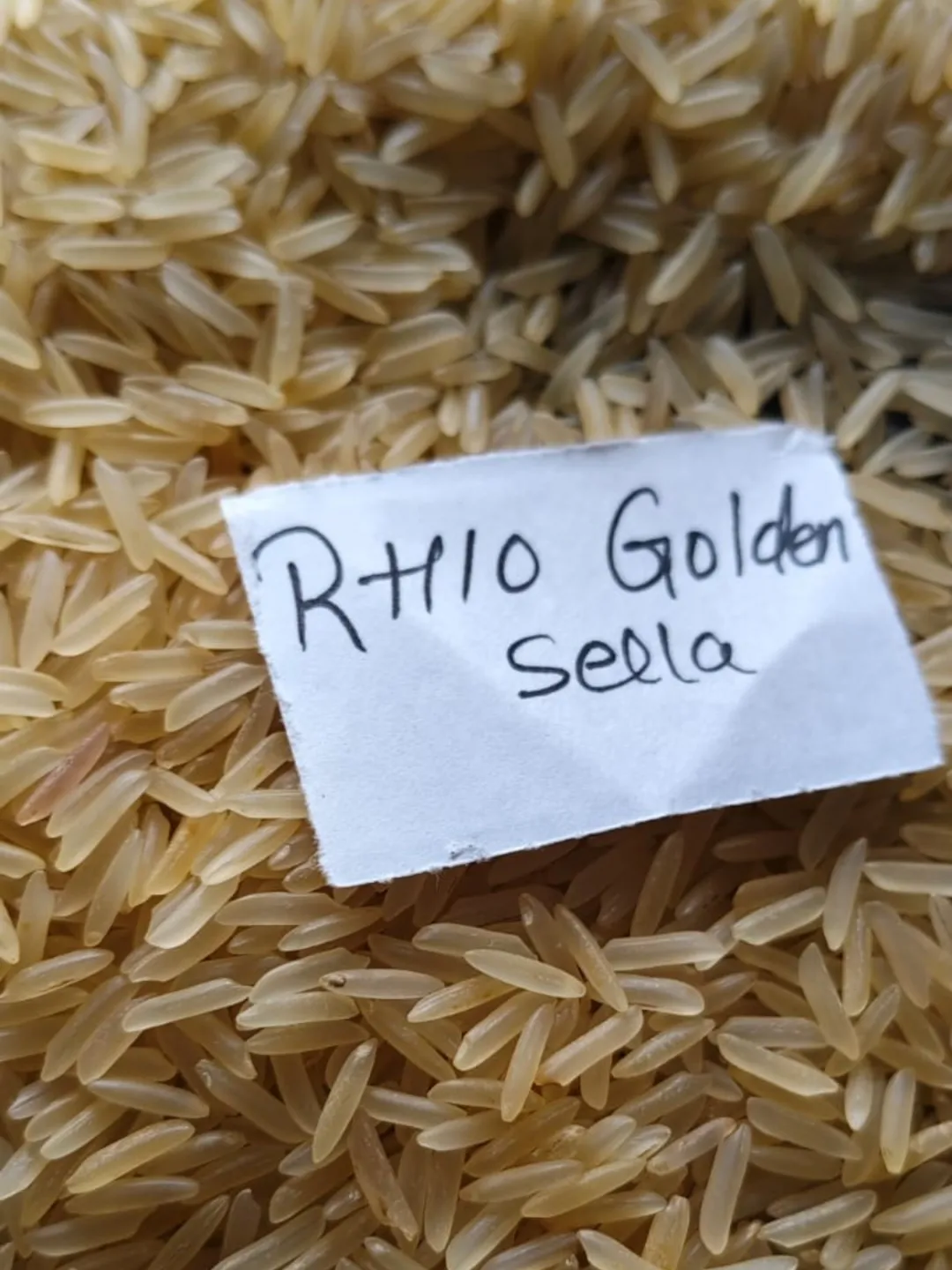 RH-10 Golden Sella Rice thumbnail 3