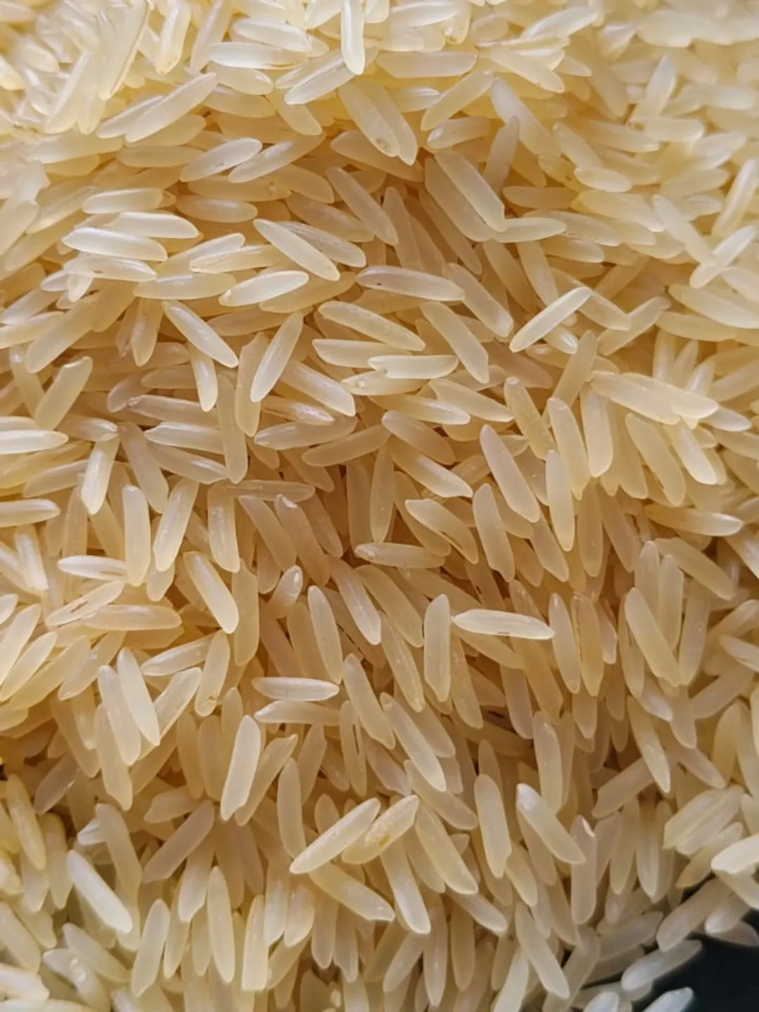 RH-10 Golden Sella Rice thumbnail 5