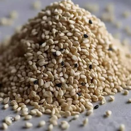 Sesame (White) thumbnail 2