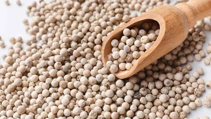 White Pepper thumbnail 2