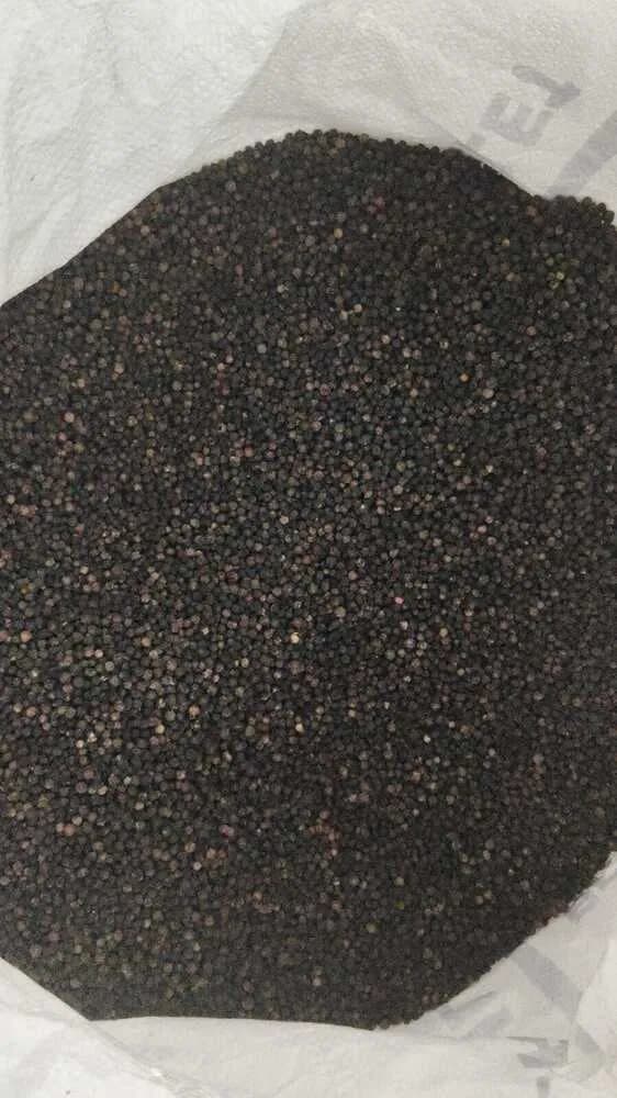 Black Pepper