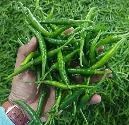 Green Chilli G4 - Photo 1