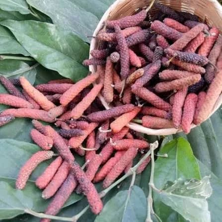 Long Pepper - Photo 1